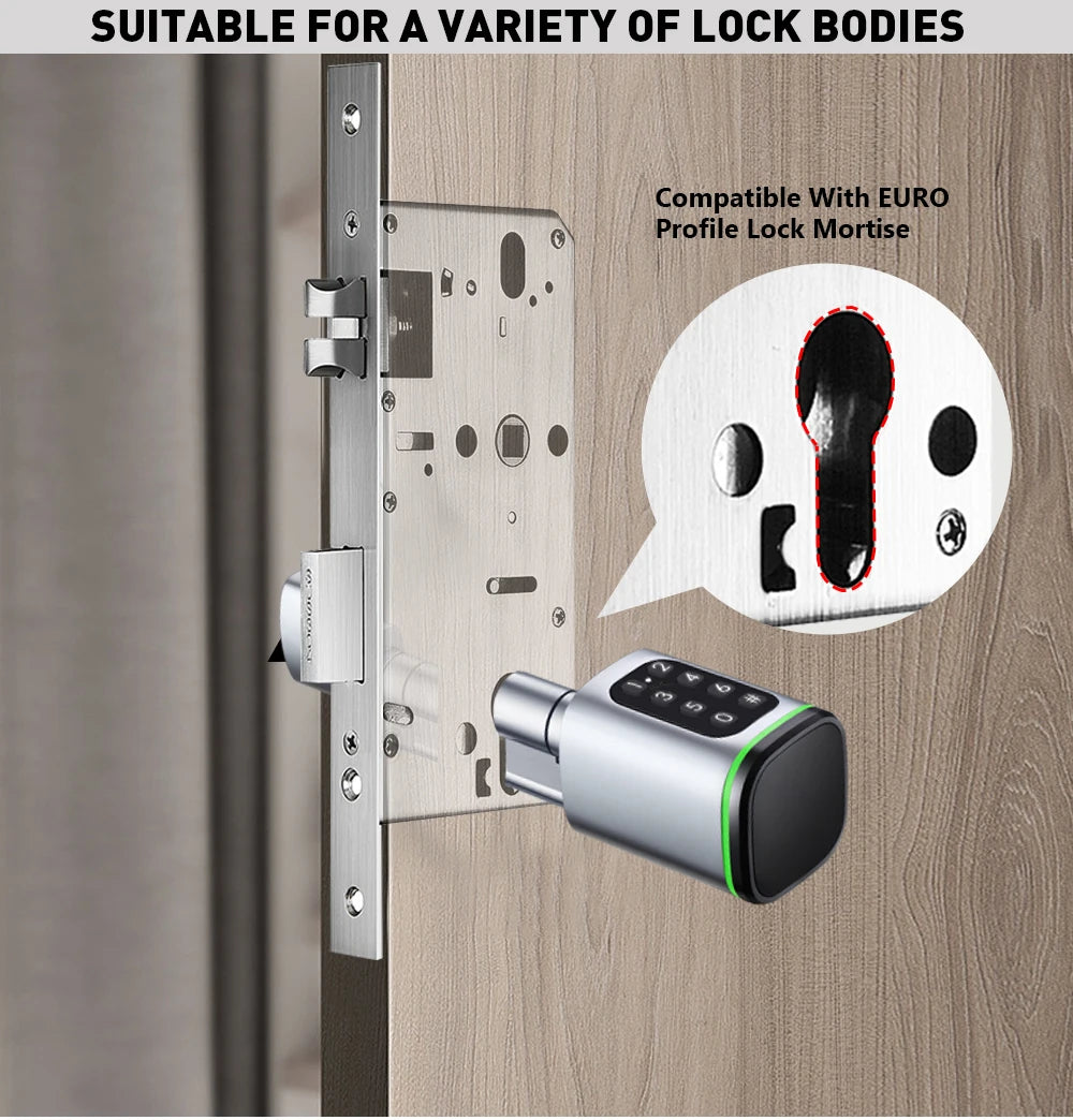 Tuya BLE TTLock Phone APP IC Card Codes Password Equidistant 30-50MM EU Standard Cylinder Digital Electronic Smart Lock with Key